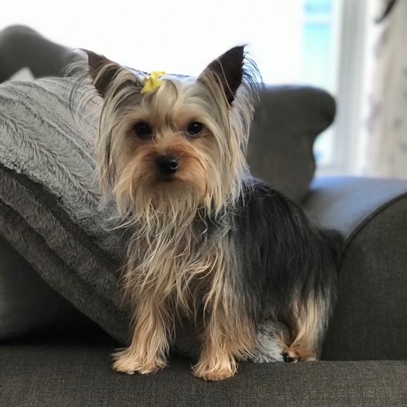 Meet your Posher, Andrea - Picture 1 of 1